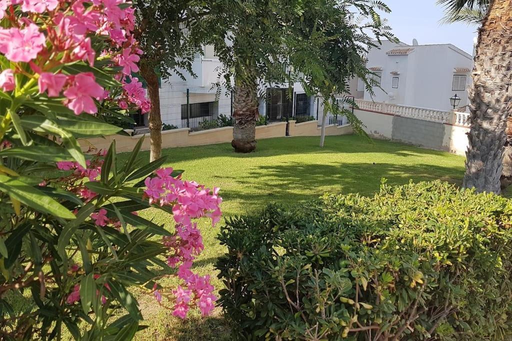 La Vista Bonita - Apartment La Mata (Torrevieja)