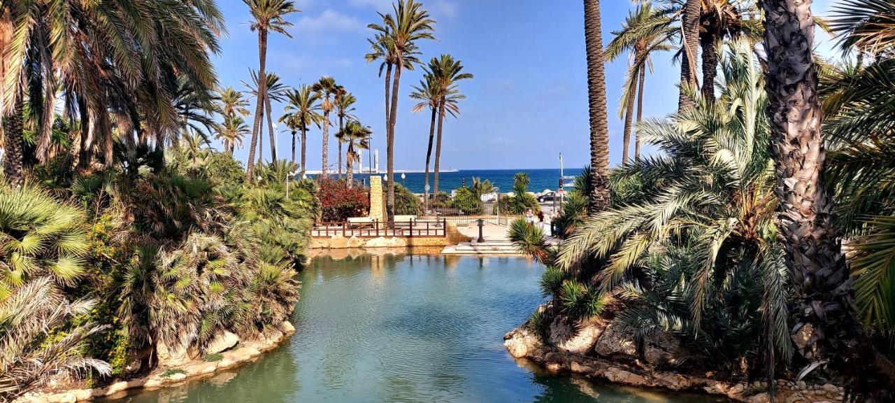 La Vista Bonita - La Mata (Torrevieja)